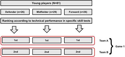 Combined effect of game position and body size on network-based centrality measures performed by young soccer players in small-sided games